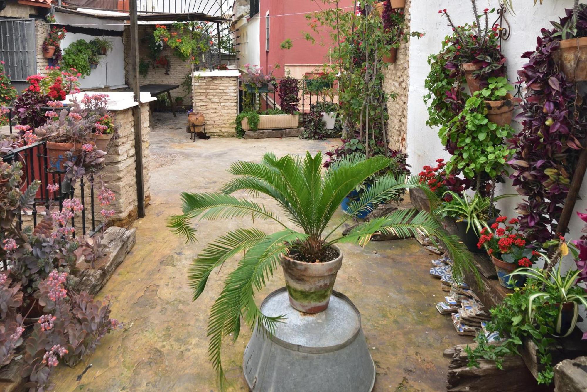 Casa Tenorio Barrio De Santa Cruz Sevilla Bagian luar foto