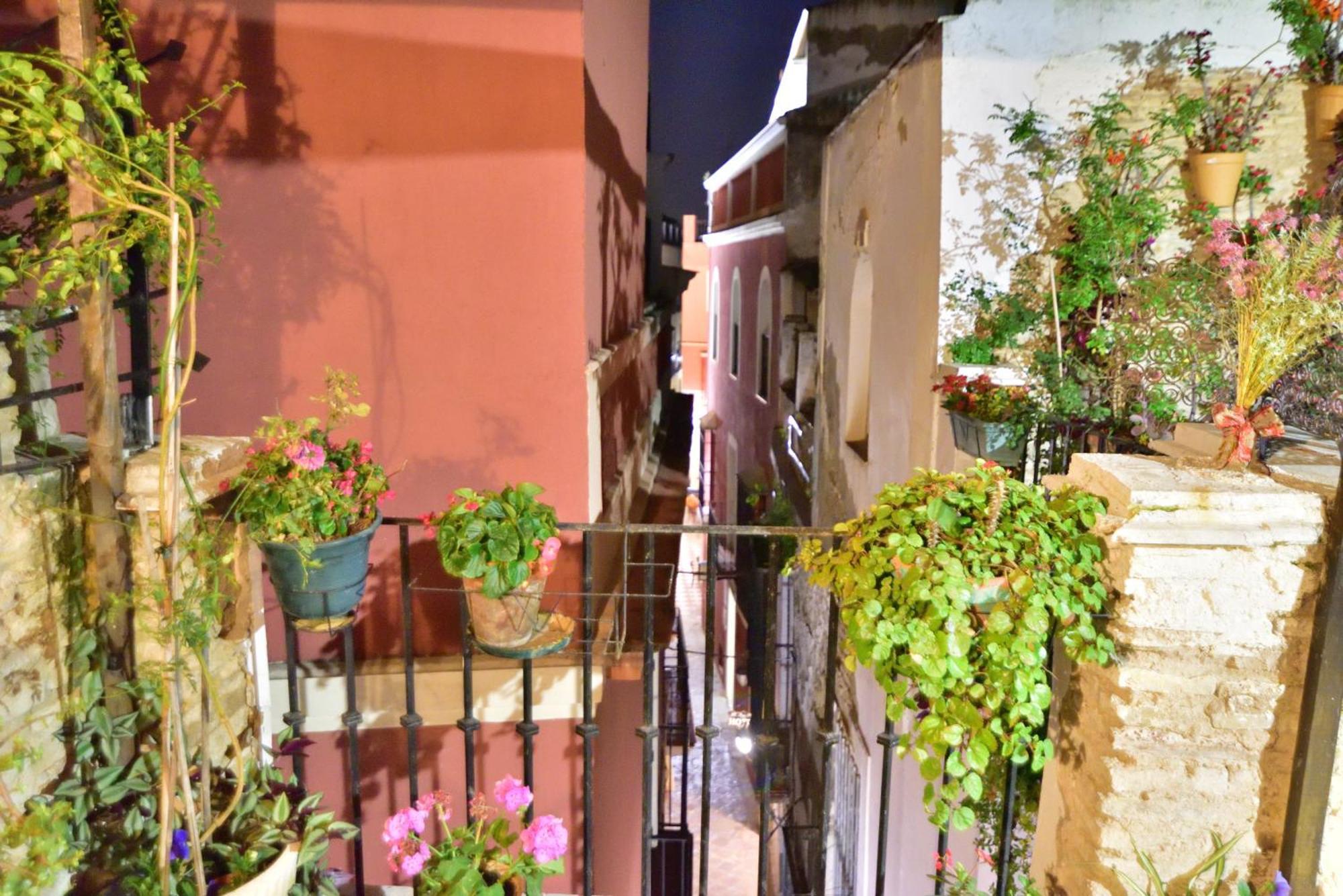 Casa Tenorio Barrio De Santa Cruz Sevilla Bagian luar foto
